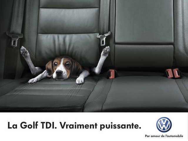 Volkswagen-publicité-chien